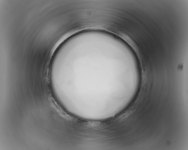 X0000114031052200910231855