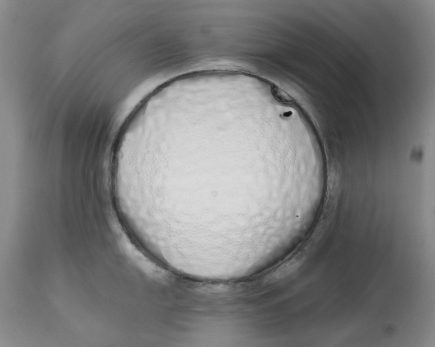 X0000114031054200910231855