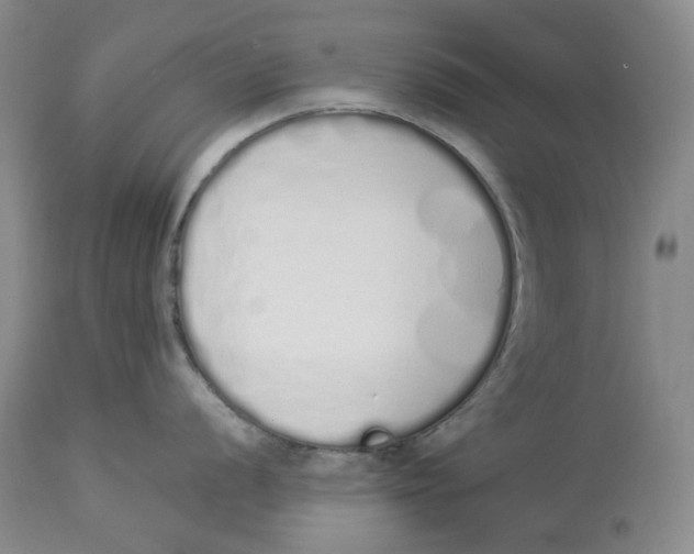 X0000114031056200910231855