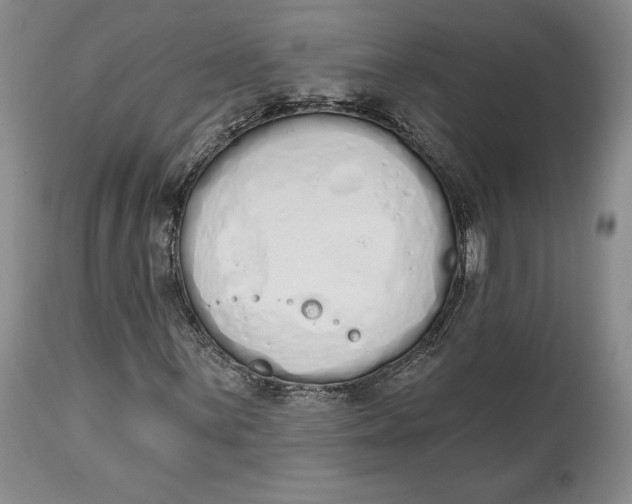 X0000114031059200910231854