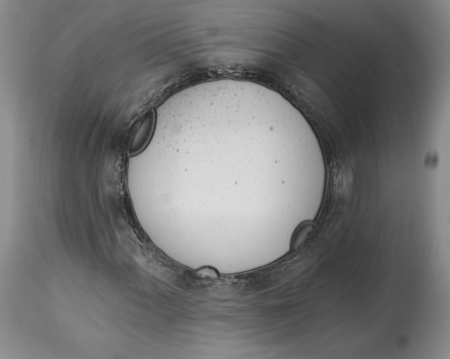 X0000114031060200910231854