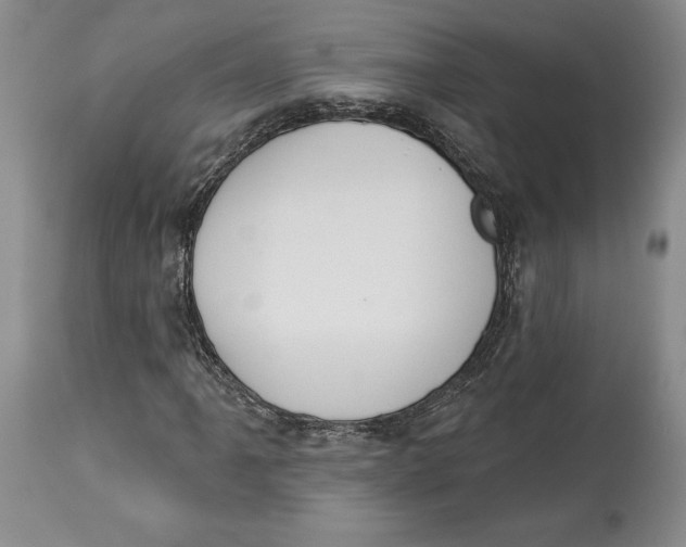 X0000114031061200910231854