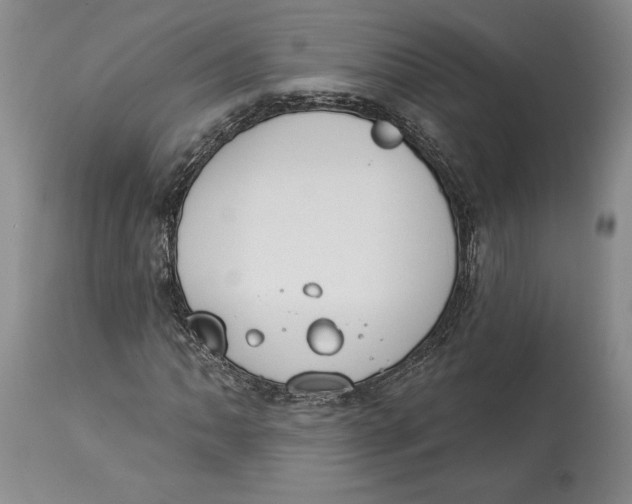 X0000114031062200910231854