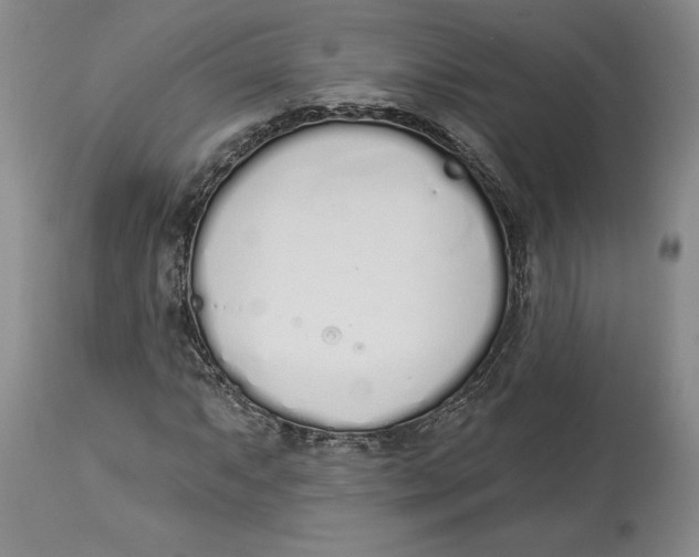 X0000114031063200910231854