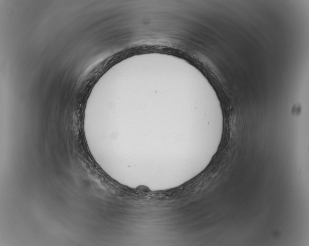 X0000114031064200910231854