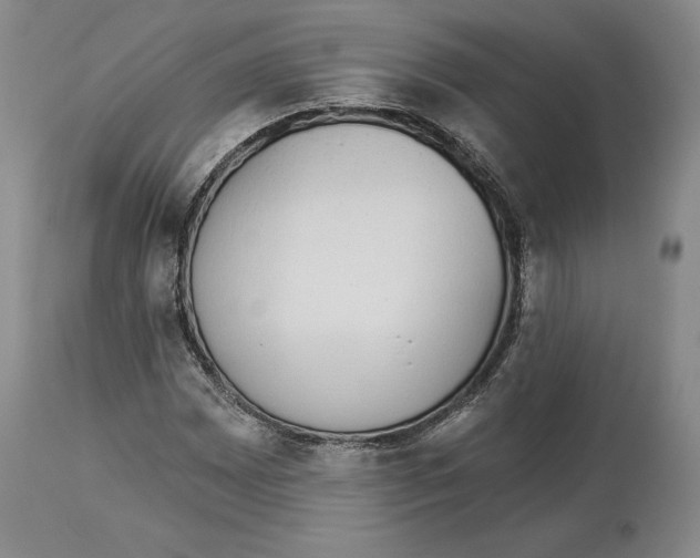 X0000114031065200910231854