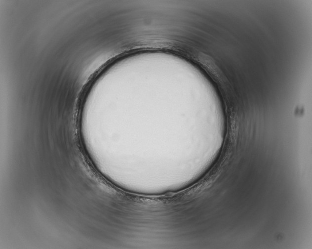 X0000114031071200910231854