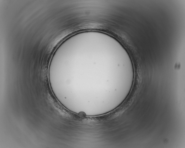 X0000114031073200910231854