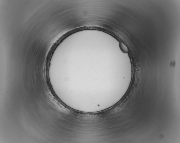 X0000114031076200910231854