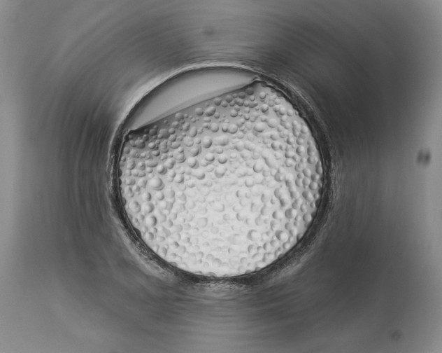 X0000114031077200910231854