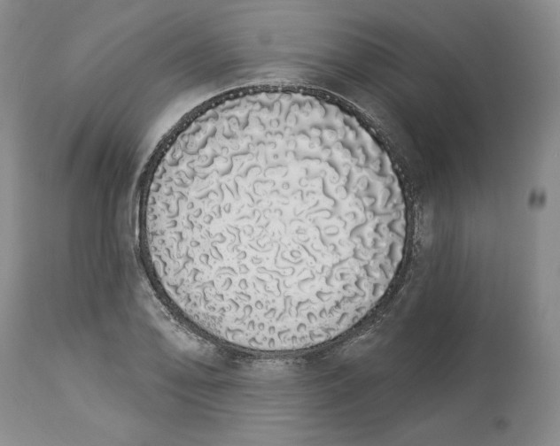 X0000114031078200910231854