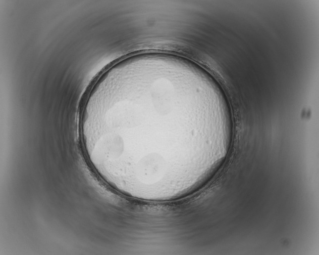 X0000114031079200910231854