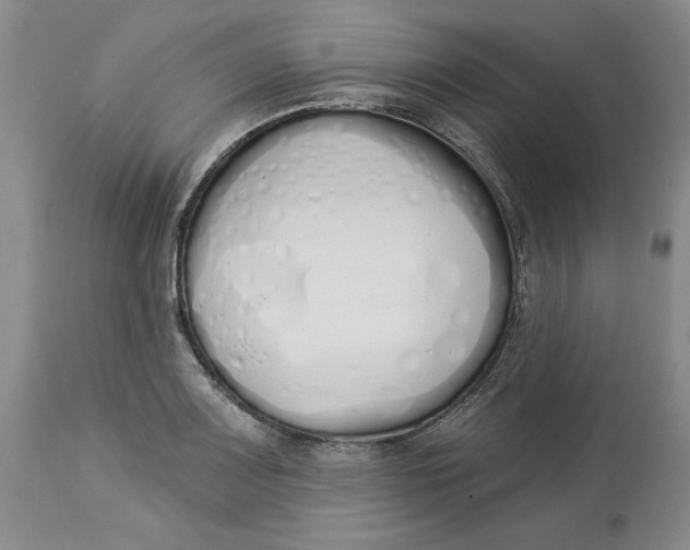 X0000114031083200910231854