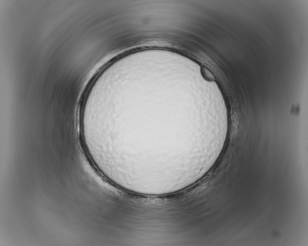 X0000114031084200910231854