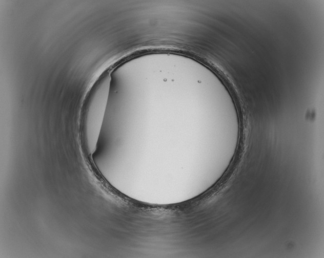 X0000114031085200910231854