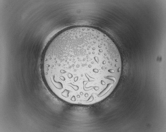 X0000114031086200910231854