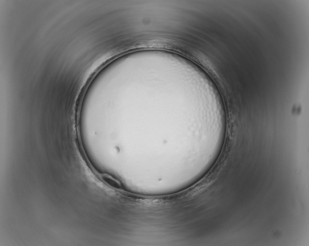 X0000114031087200910231854