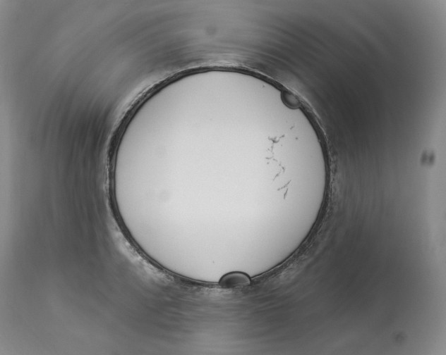 X0000114031088200910231854