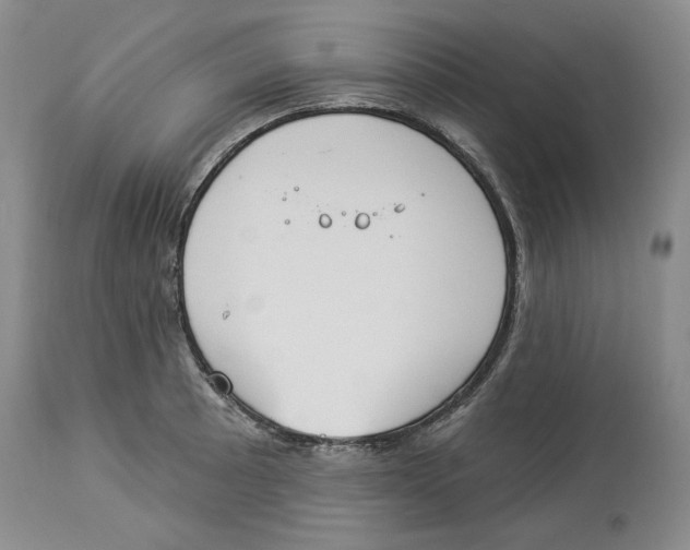 X0000114031089200910231853