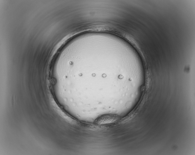 X0000114031091200910231853