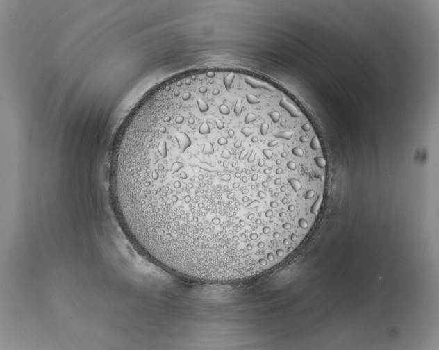 X0000114031094200910231853