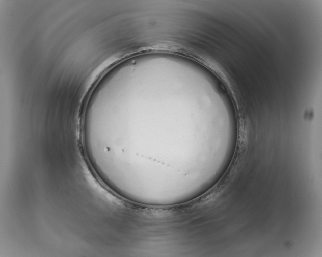 X0000114031095200910231853