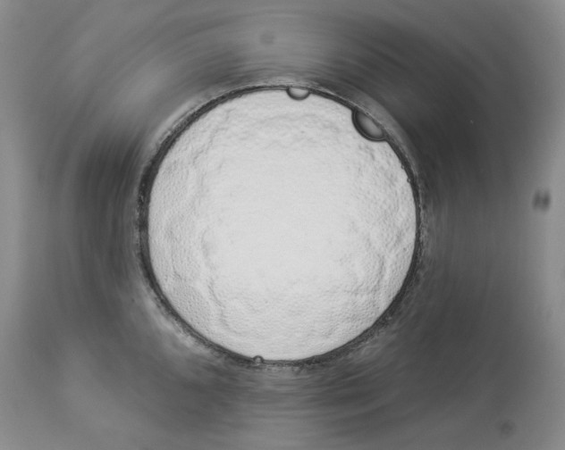 X0000114031096200910231853