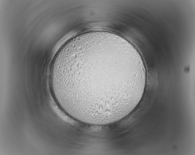 X0000114031098200910231853