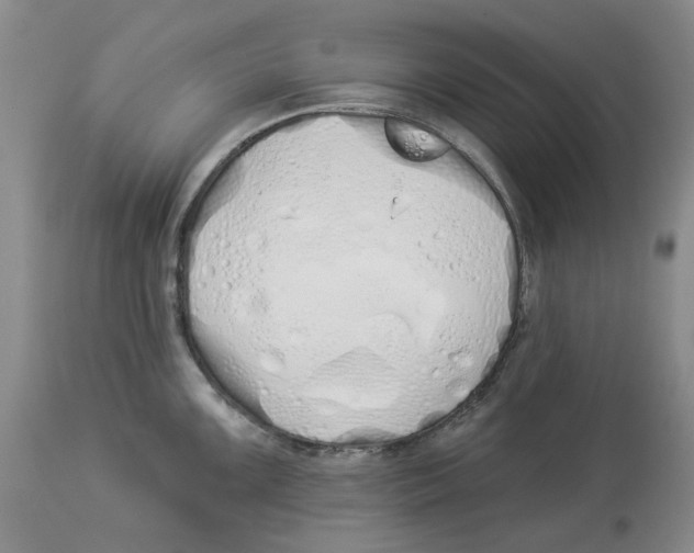 X0000114031099200910231853