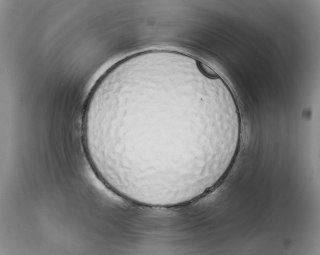 X0000114031100200910231853