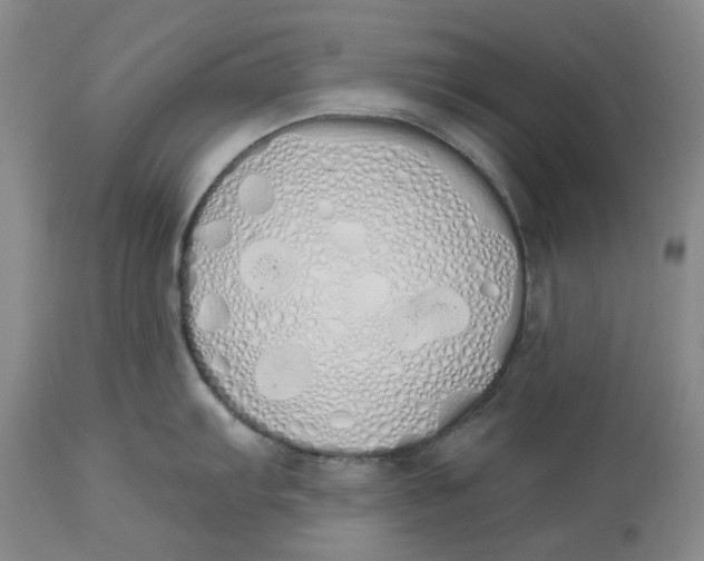 X0000114031103200910231853