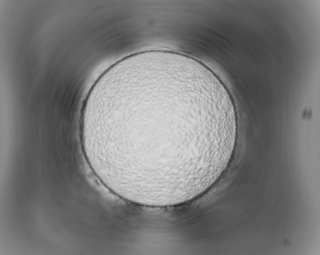 X0000114031104200910231853