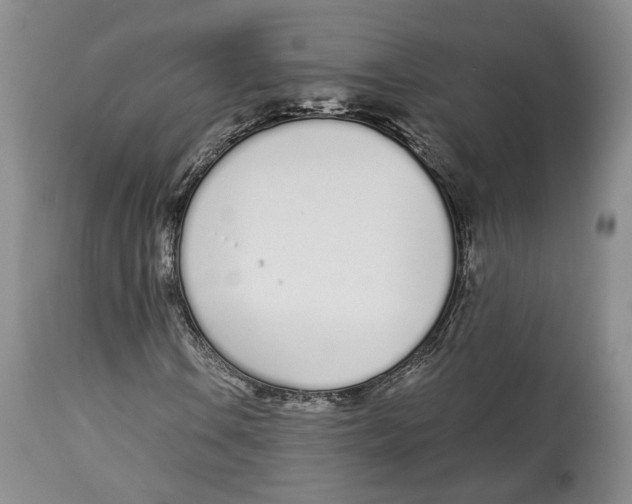 X0000114031106200910231853