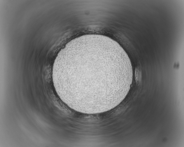 X0000114031107200910231853