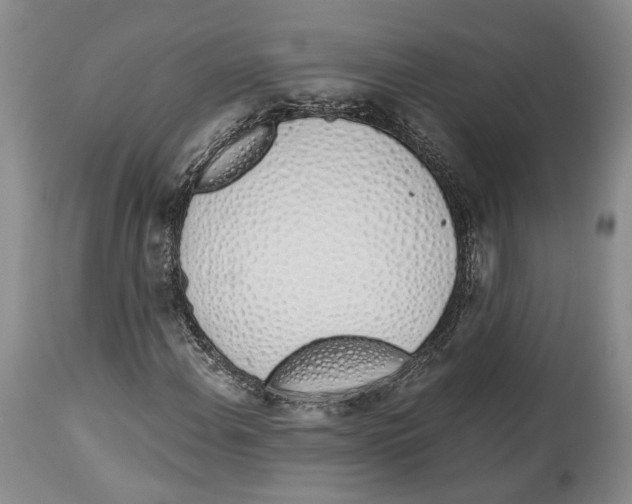 X0000114031108200910231853