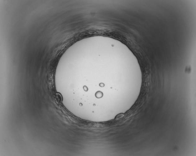 X0000114031109200910231853