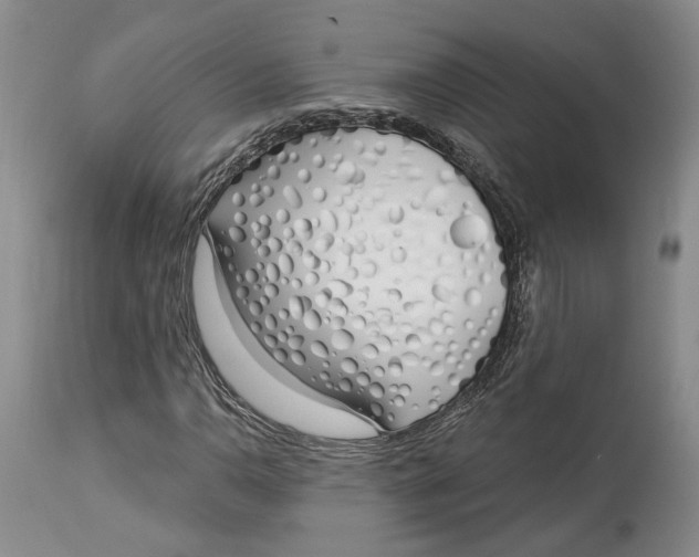 X0000114031110200910231853