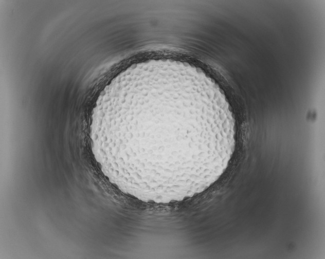 X0000114031111200910231853