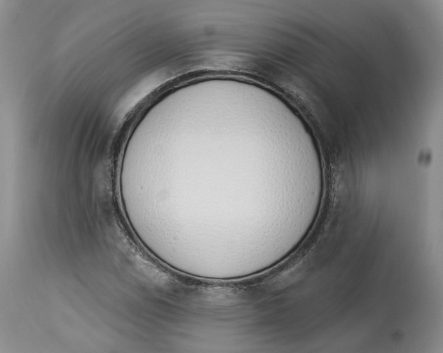 X0000114031114200910231853