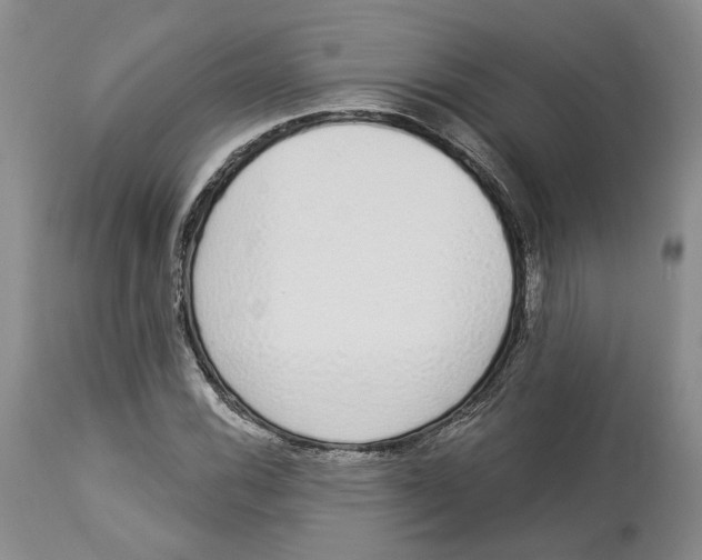 X0000114031116200910231853