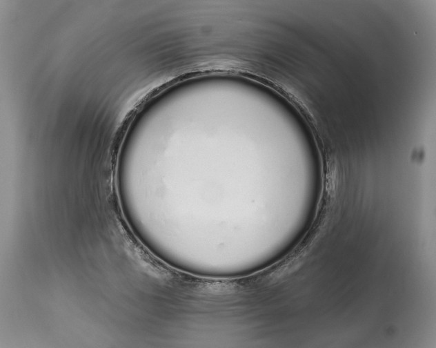 X0000114031117200910231853