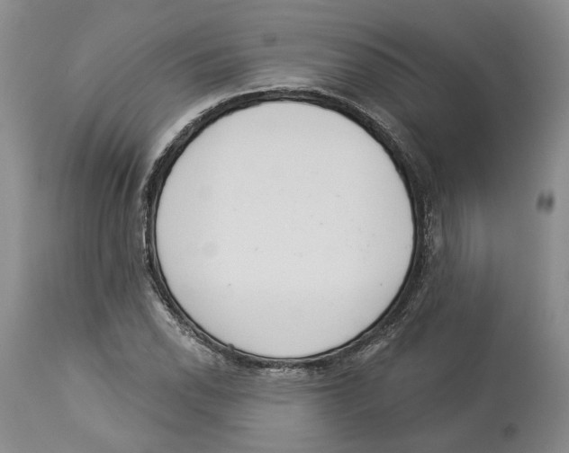 X0000114031118200910231853