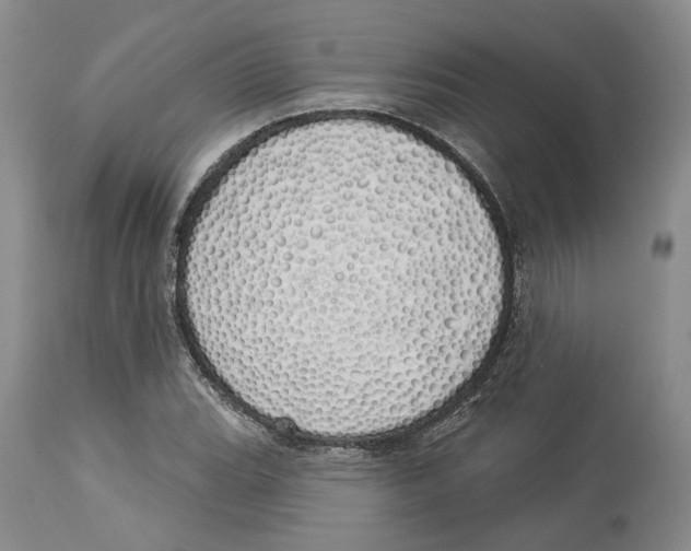 X0000114031119200910231853