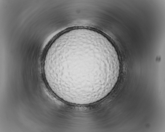 X0000114031120200910231853