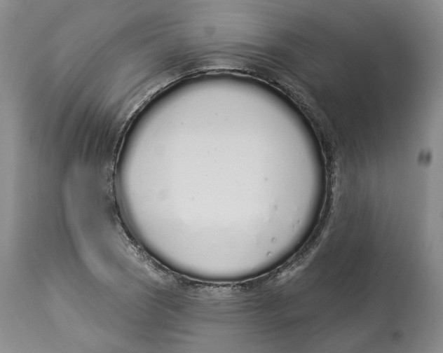 X0000114031121200910231853