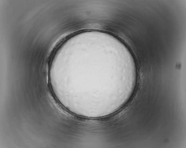 X0000114031123200910231853