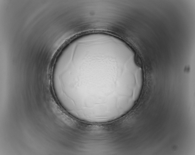 X0000114031124200910231853