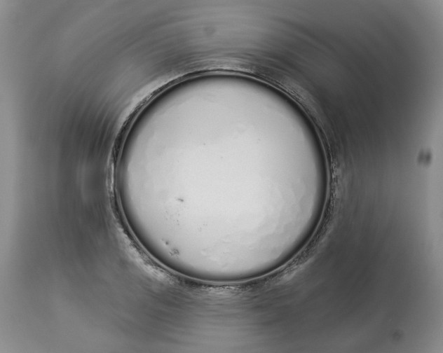 X0000114031125200910231853