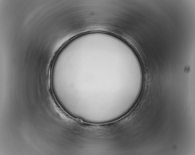 X0000114031127200910231853