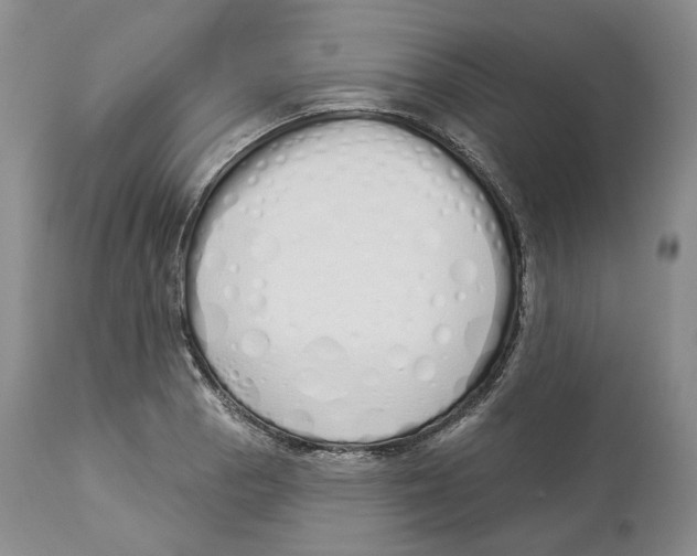 X0000114031129200910231853